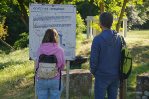 IMGP0156.JPG