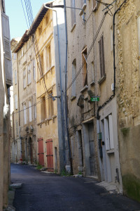 IMGP0160.JPG