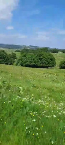0420f3ff-c09f-45f7-b279-be244f0e7be8..MP4
