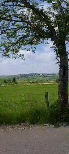 896ec3b4-0068-49fe-acb3-6027eea71dd4..MP4