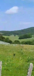 ce57595d-6d27-4c8c-97e8-f4afc1cb506f..MP4