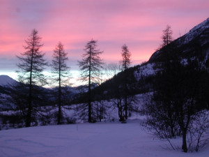 Serre-che 25-26 Janvier 2003 017.jpg