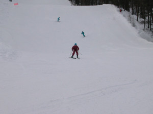 Serre-che 25-26 Janvier 2003 025.jpg
