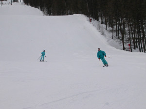 Serre-che 25-26 Janvier 2003 026.jpg