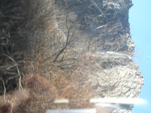 WE 20 Mars 2003 038.jpg