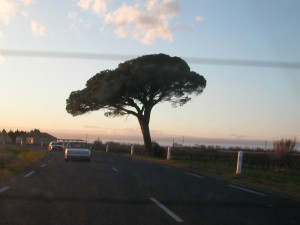 DSCN1867.JPG
