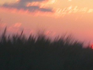 DSCN1876.JPG