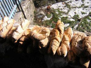 DSCN0200.JPG
