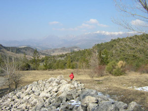 isabelle2 002.jpg