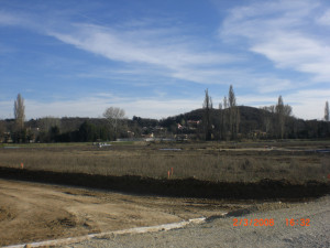 CIMG0041.JPG