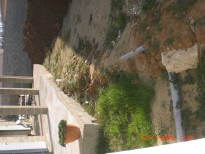 CIMG1213.JPG