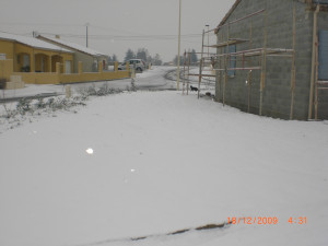 CIMG1242.JPG