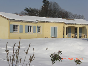 CIMG1371.JPG