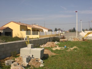 CIMG2134.JPG