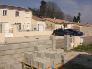 CIMG2135.JPG