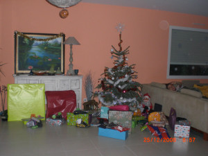 CIMG0868.JPG