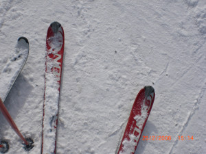 CIMG0015.JPG
