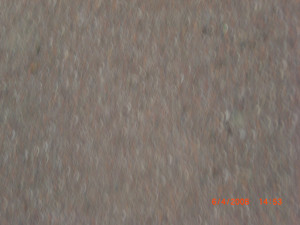 CIMG0186.JPG