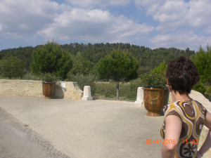 CIMG0215.JPG