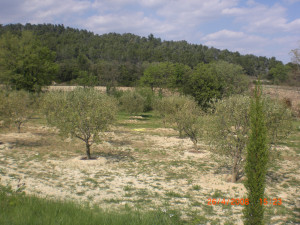 CIMG0216.JPG