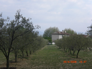 CIMG0217.JPG