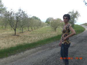 CIMG0218.JPG