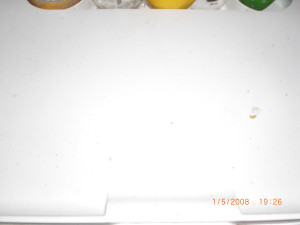 CIMG0227.JPG