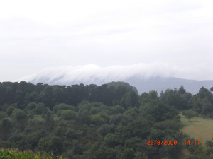 CIMG2002.JPG