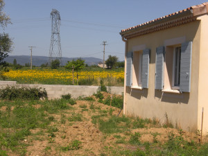 CIMG2173.JPG