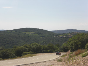 CIMG2174.JPG