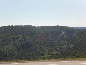 CIMG2175.JPG