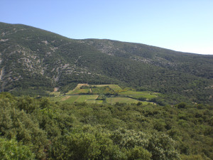 CIMG2176.JPG