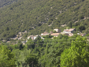 CIMG2179.JPG