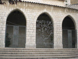 CIMG2215.JPG