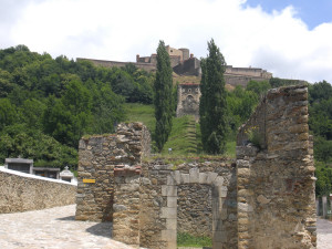 CIMG2255.JPG