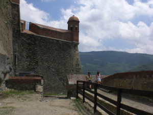 CIMG2263.JPG