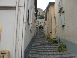 CIMG2270.JPG