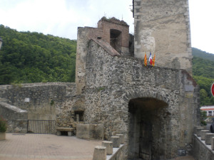 CIMG2271.JPG