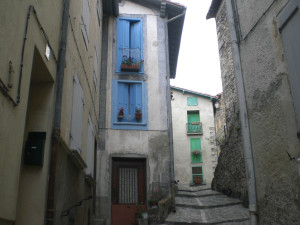 CIMG2273.JPG