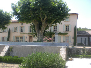 CIMG2295.JPG