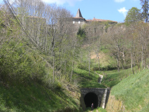 CIMG3690.JPG