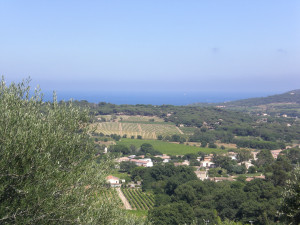 CIMG3707.JPG