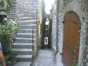 CIMG3739.JPG