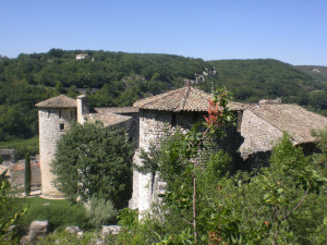 CIMG3740.JPG