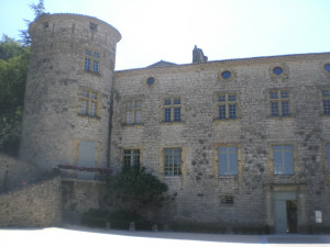 CIMG3741.JPG