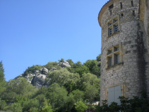 CIMG3742.JPG