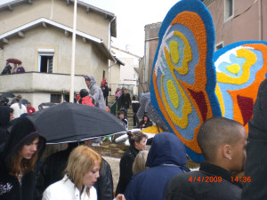 CIMG1381.JPG