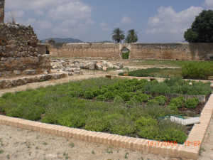 CIMG1848.JPG