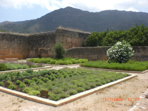 CIMG1849.JPG