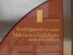 CIMG1851.JPG